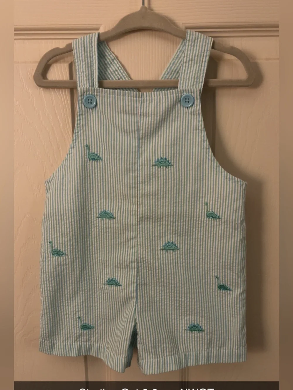Starting Out Blue & White Striped Dino Embroidered Overalls